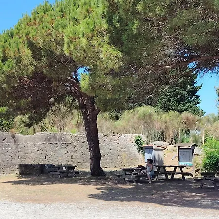 Batteria Chiodo Rifugio Escursionistico E Culturale *